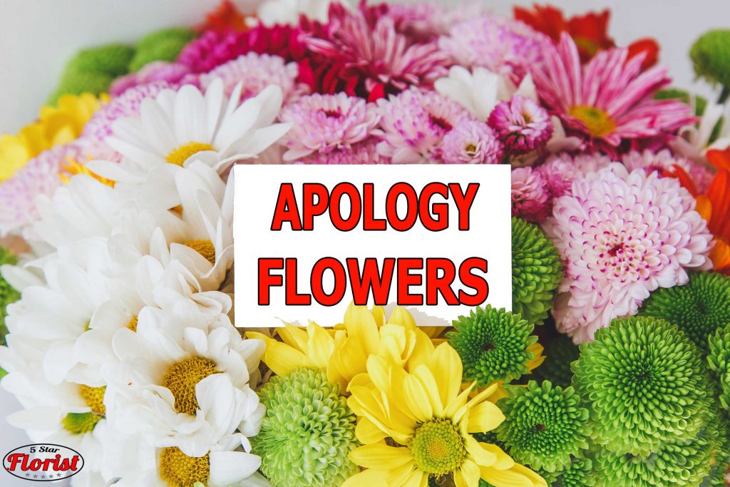 apology flowers orlando